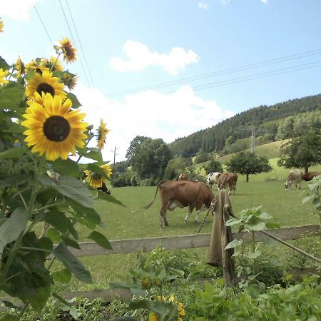 Urlaub Auf Dem Haenslehof Apartment Elzach Ngoại thất bức ảnh