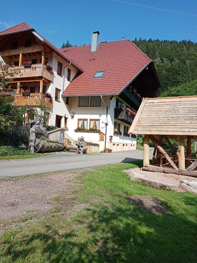 Urlaub Auf Dem Haenslehof Apartment Elzach Ngoại thất bức ảnh
