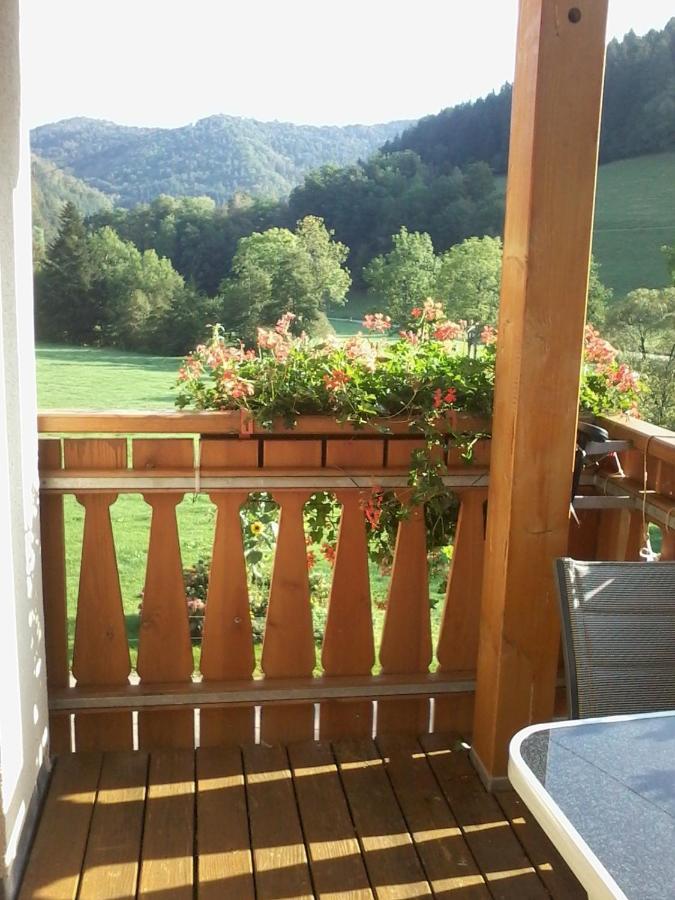 Urlaub Auf Dem Haenslehof Apartment Elzach Ngoại thất bức ảnh