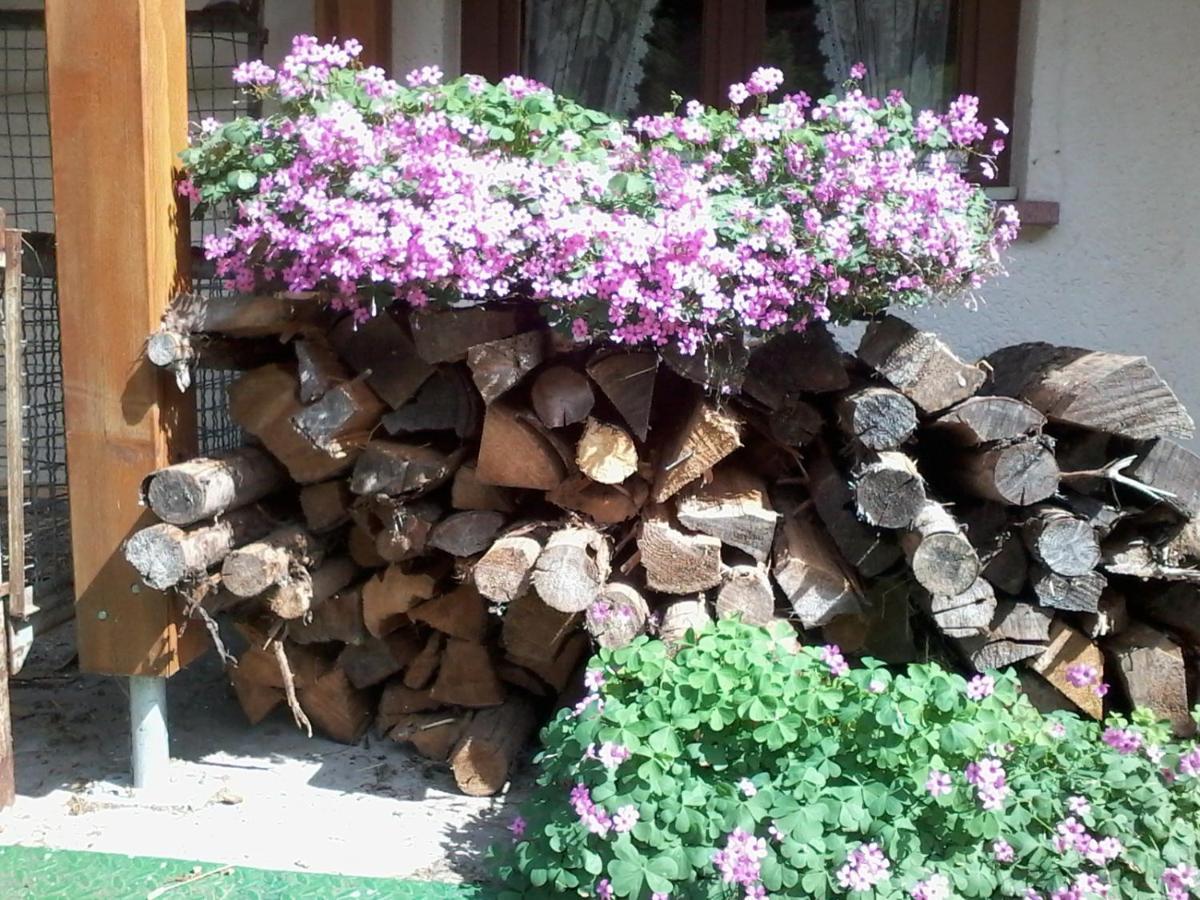Urlaub Auf Dem Haenslehof Apartment Elzach Ngoại thất bức ảnh