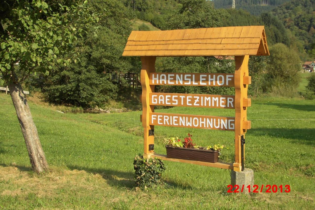 Urlaub Auf Dem Haenslehof Apartment Elzach Ngoại thất bức ảnh