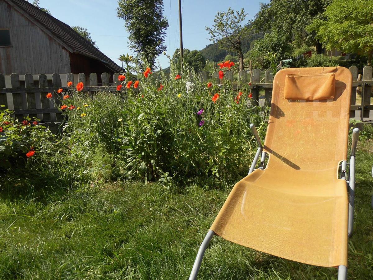 Urlaub Auf Dem Haenslehof Apartment Elzach Ngoại thất bức ảnh