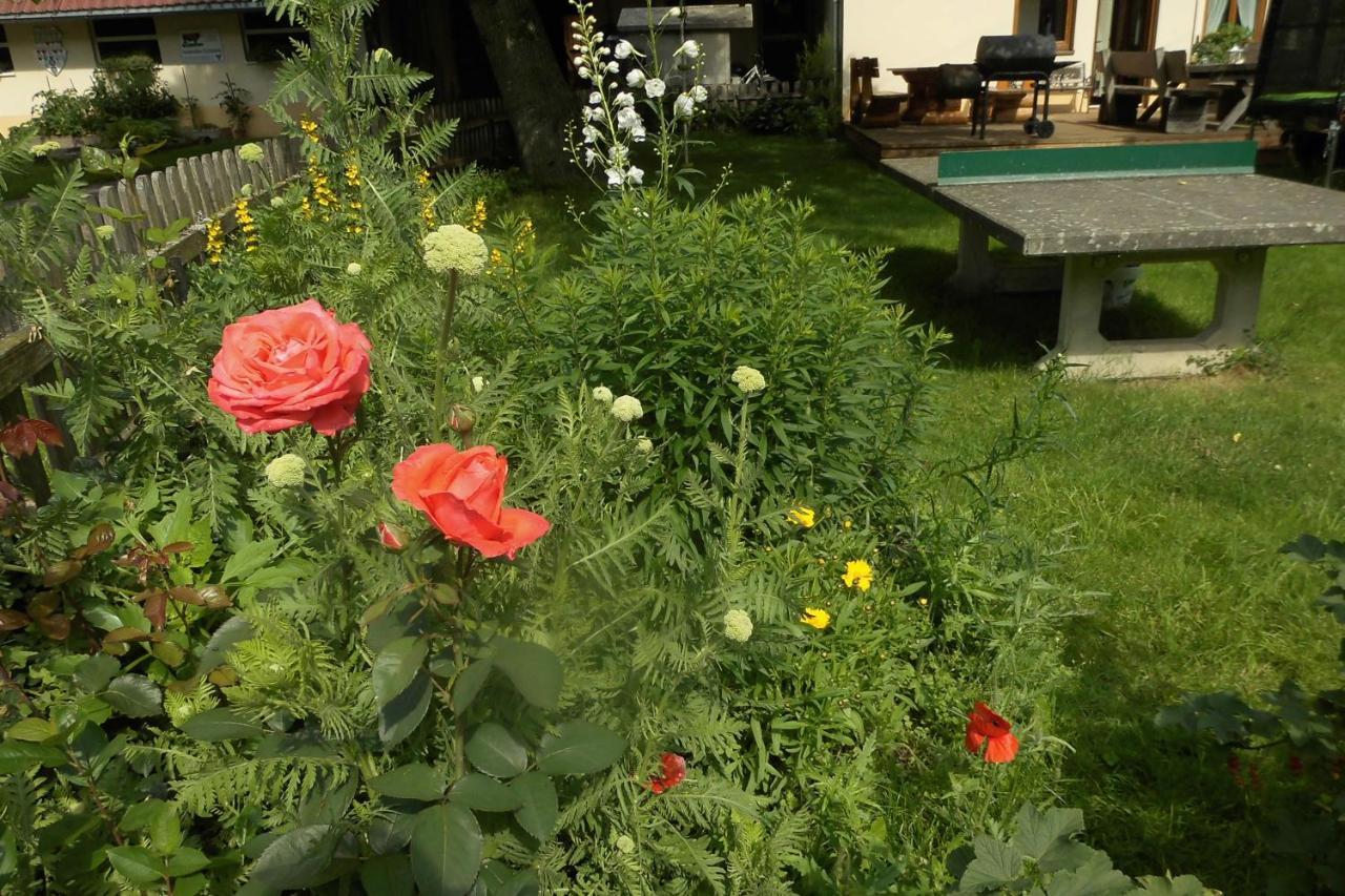 Urlaub Auf Dem Haenslehof Apartment Elzach Ngoại thất bức ảnh