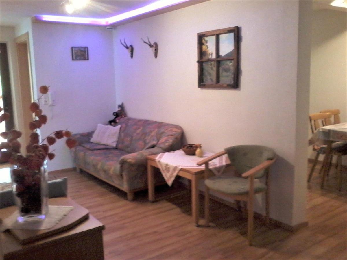 Urlaub Auf Dem Haenslehof Apartment Elzach Ngoại thất bức ảnh