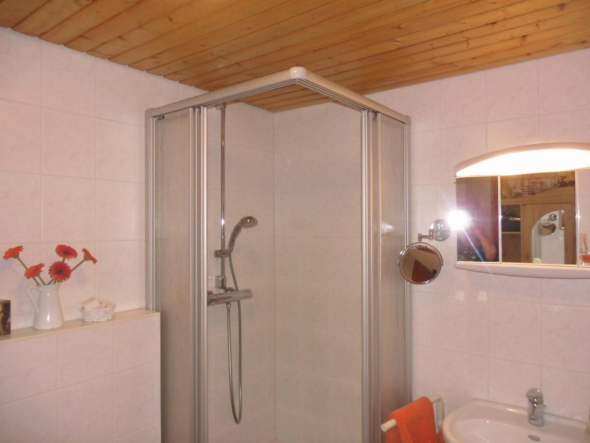 Urlaub Auf Dem Haenslehof Apartment Elzach Ngoại thất bức ảnh