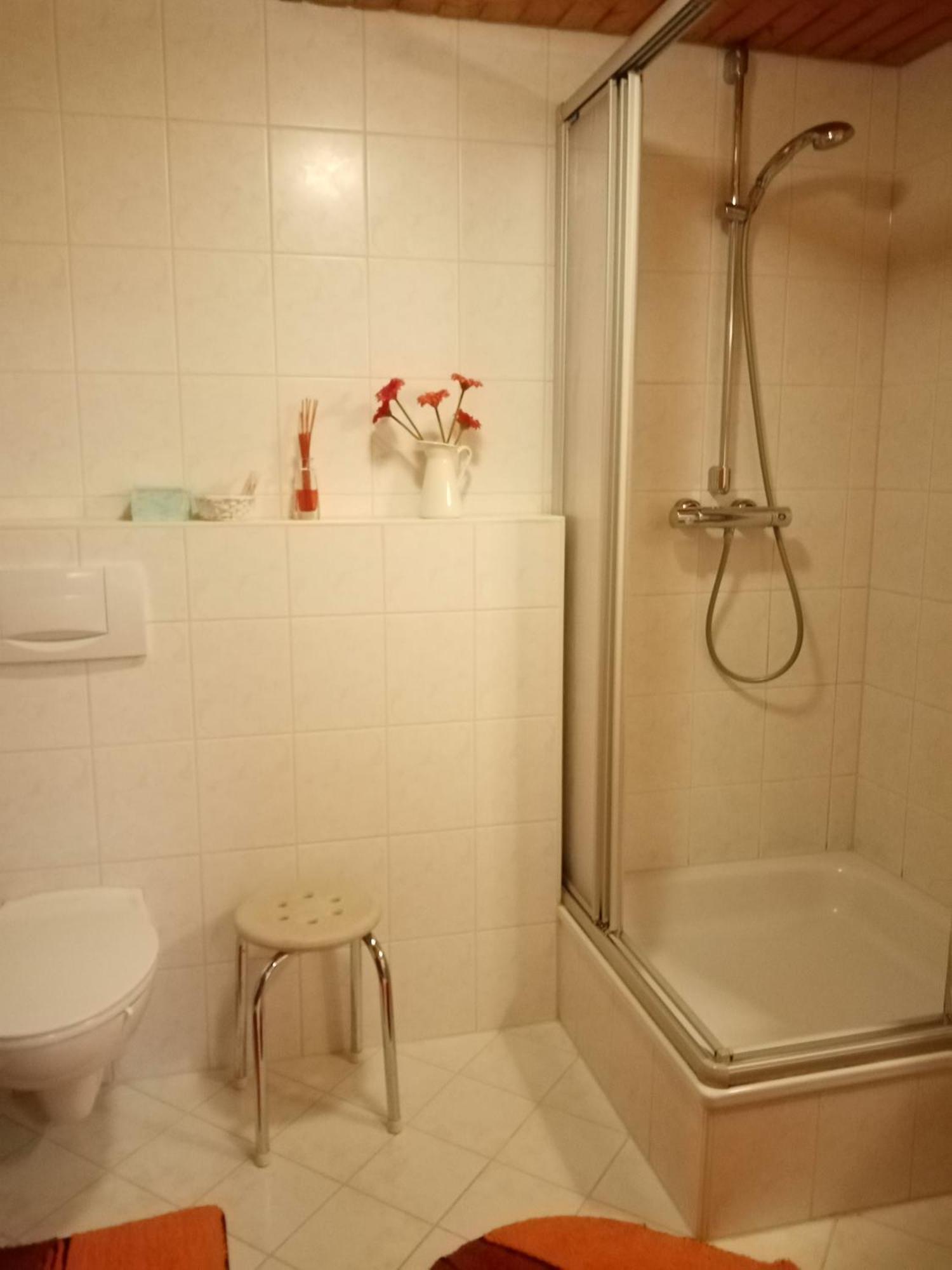Urlaub Auf Dem Haenslehof Apartment Elzach Ngoại thất bức ảnh