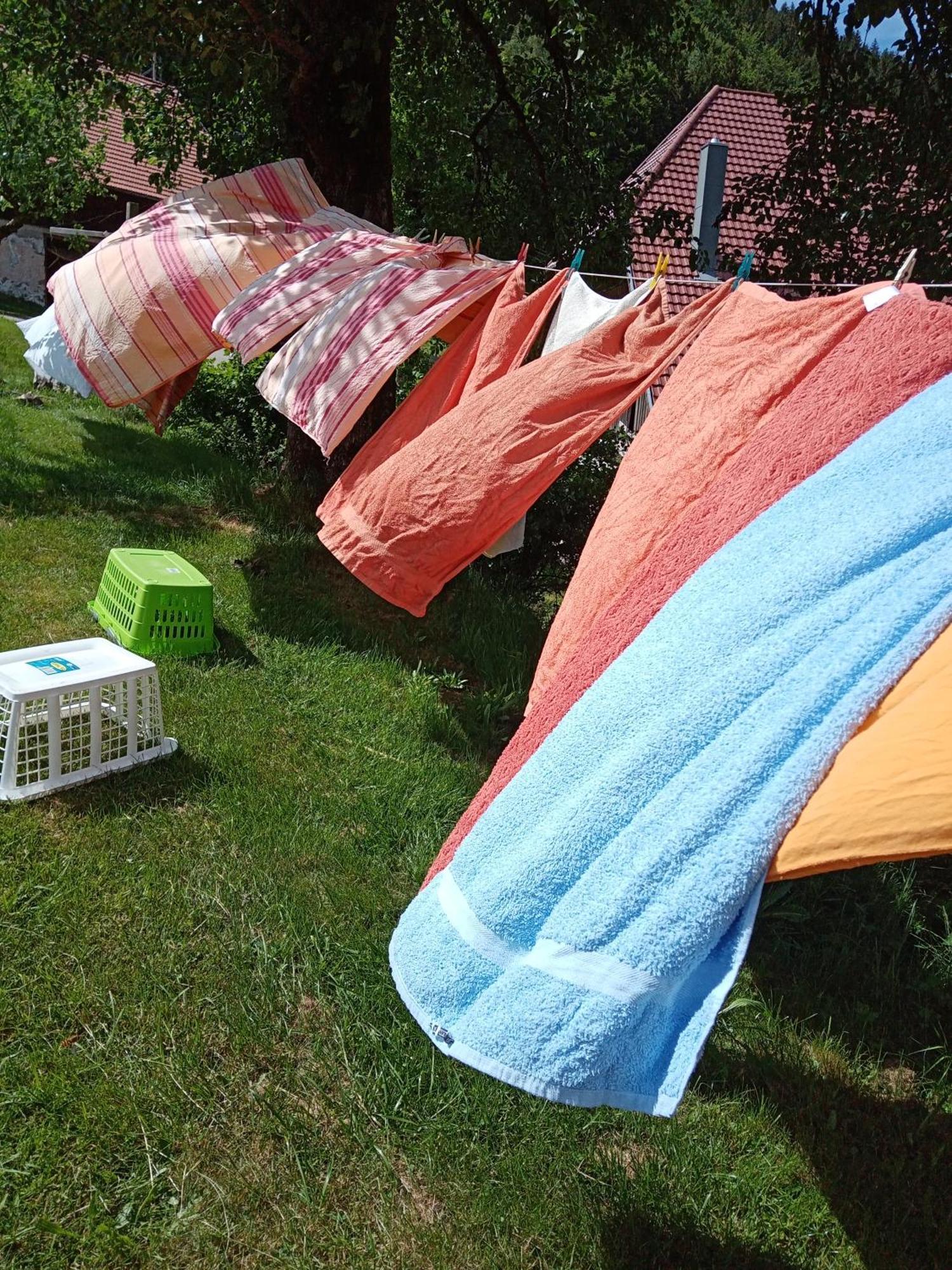 Urlaub Auf Dem Haenslehof Apartment Elzach Ngoại thất bức ảnh