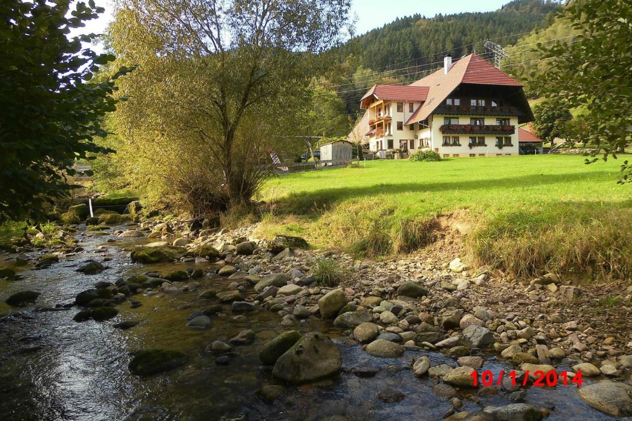 Urlaub Auf Dem Haenslehof Apartment Elzach Ngoại thất bức ảnh