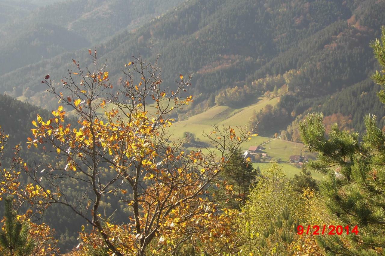 Urlaub Auf Dem Haenslehof Apartment Elzach Ngoại thất bức ảnh