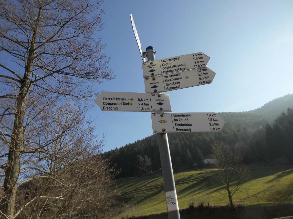 Urlaub Auf Dem Haenslehof Apartment Elzach Ngoại thất bức ảnh